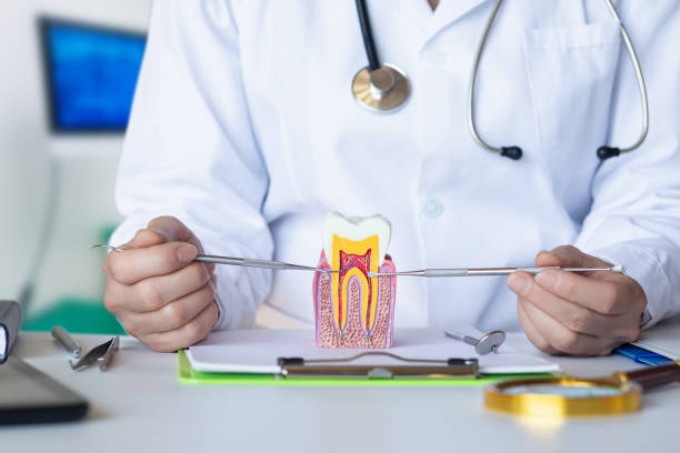 Best Emergency Tooth Extraction in Manvel, TX